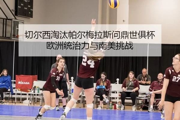 qie-er-xi-tao-tai-pa-er-mei-la-si-wen-ding-shi-ju-bei-ou-zhou-tong-zhi-li-yu-nan-mei-tiao-zhan-2-699.jpg